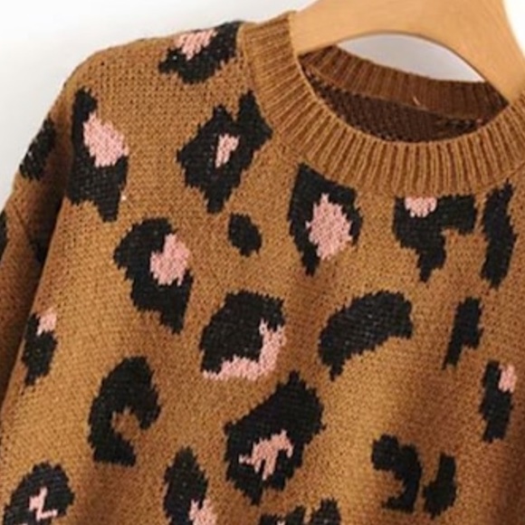 Leopard Print Sweater - Picture 2 of 3